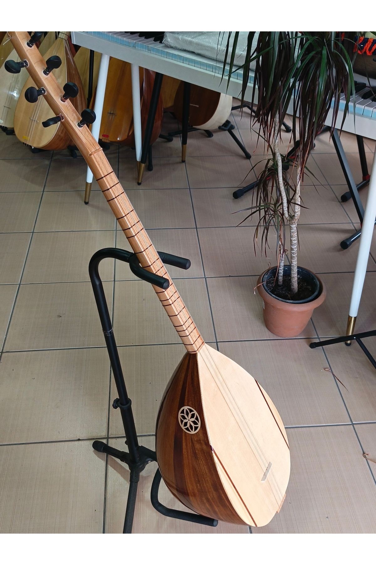 Karadut Ağacı Kısa Sap Bağlama (kılıf+yedek Tel+mızrap hediye)
