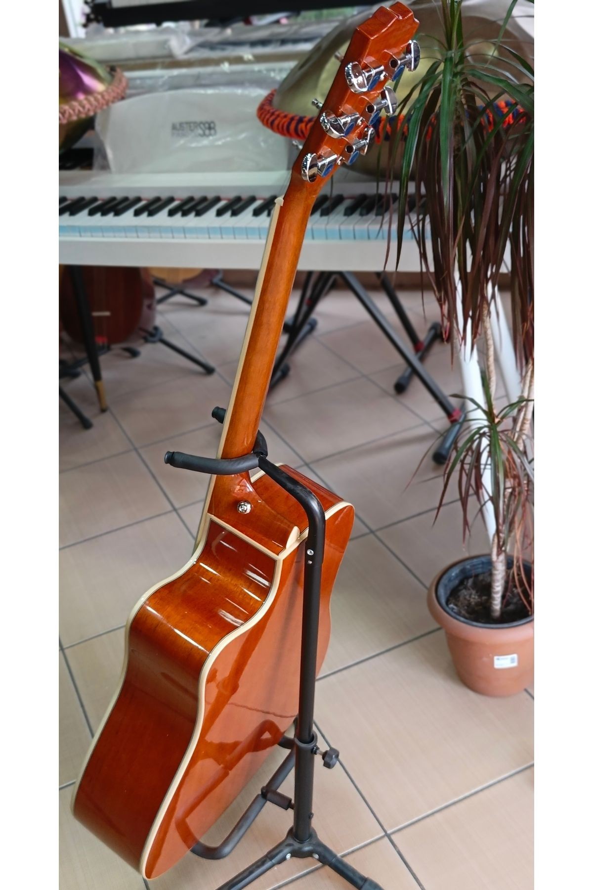 Maun Ağacı Kesik Kasa Akustik Gitar