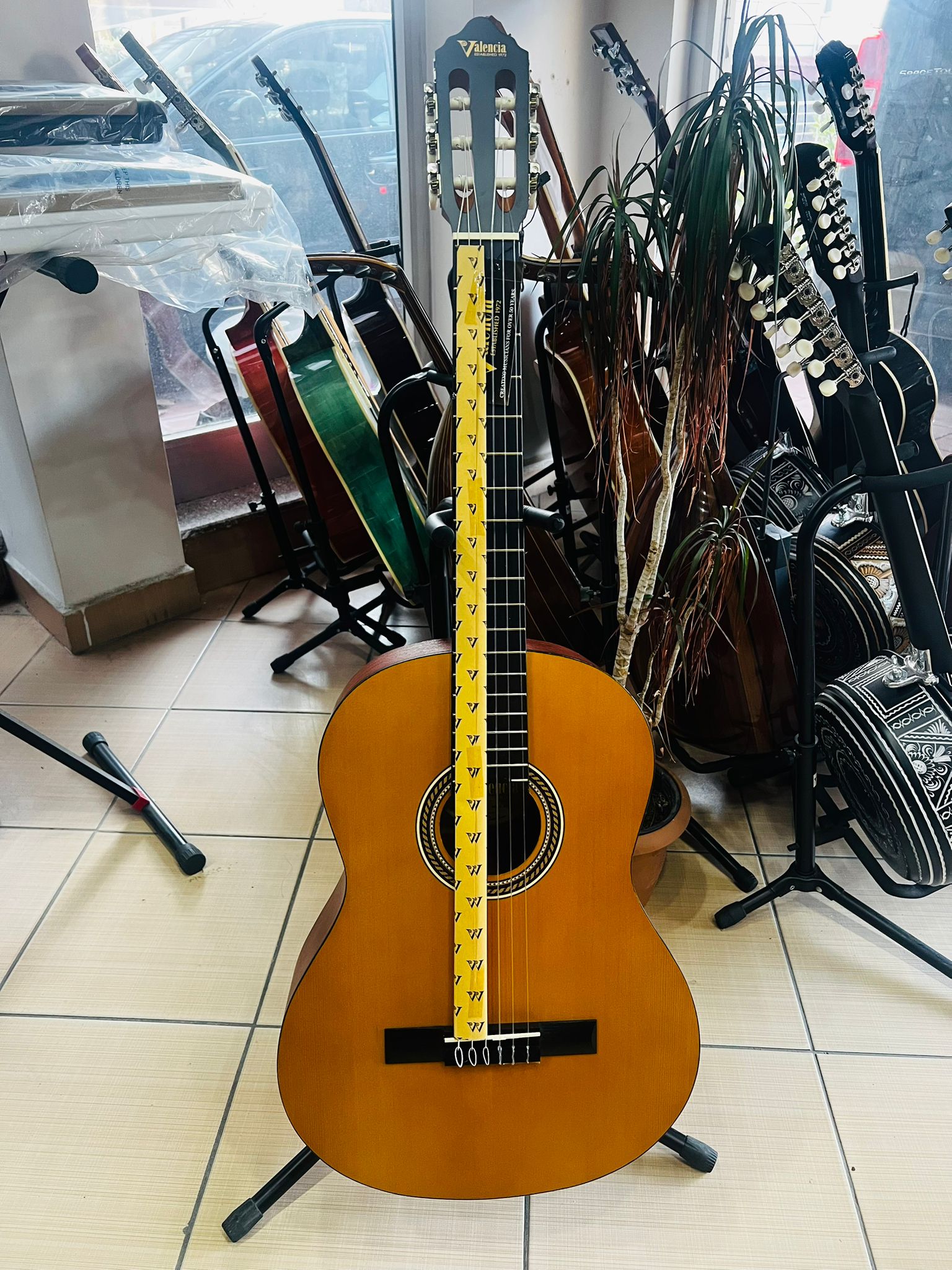 Valencia VC-204 Klasik Gitar (kılıf ve pena hediye)