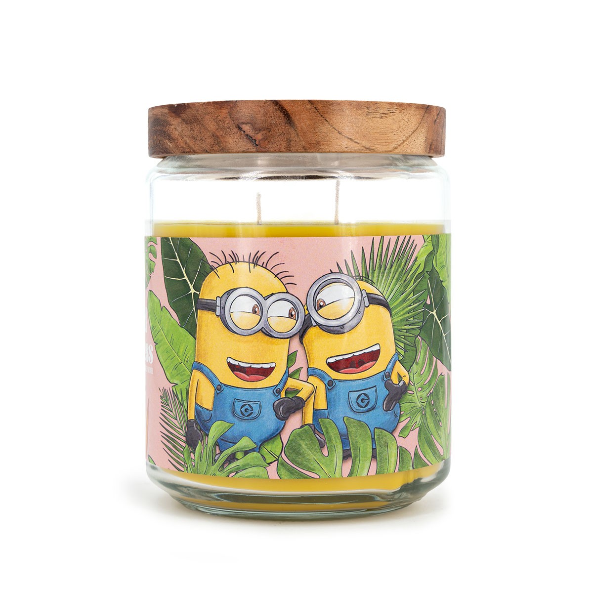 Minions Mutluluk Yayıyor Kokulu Mum