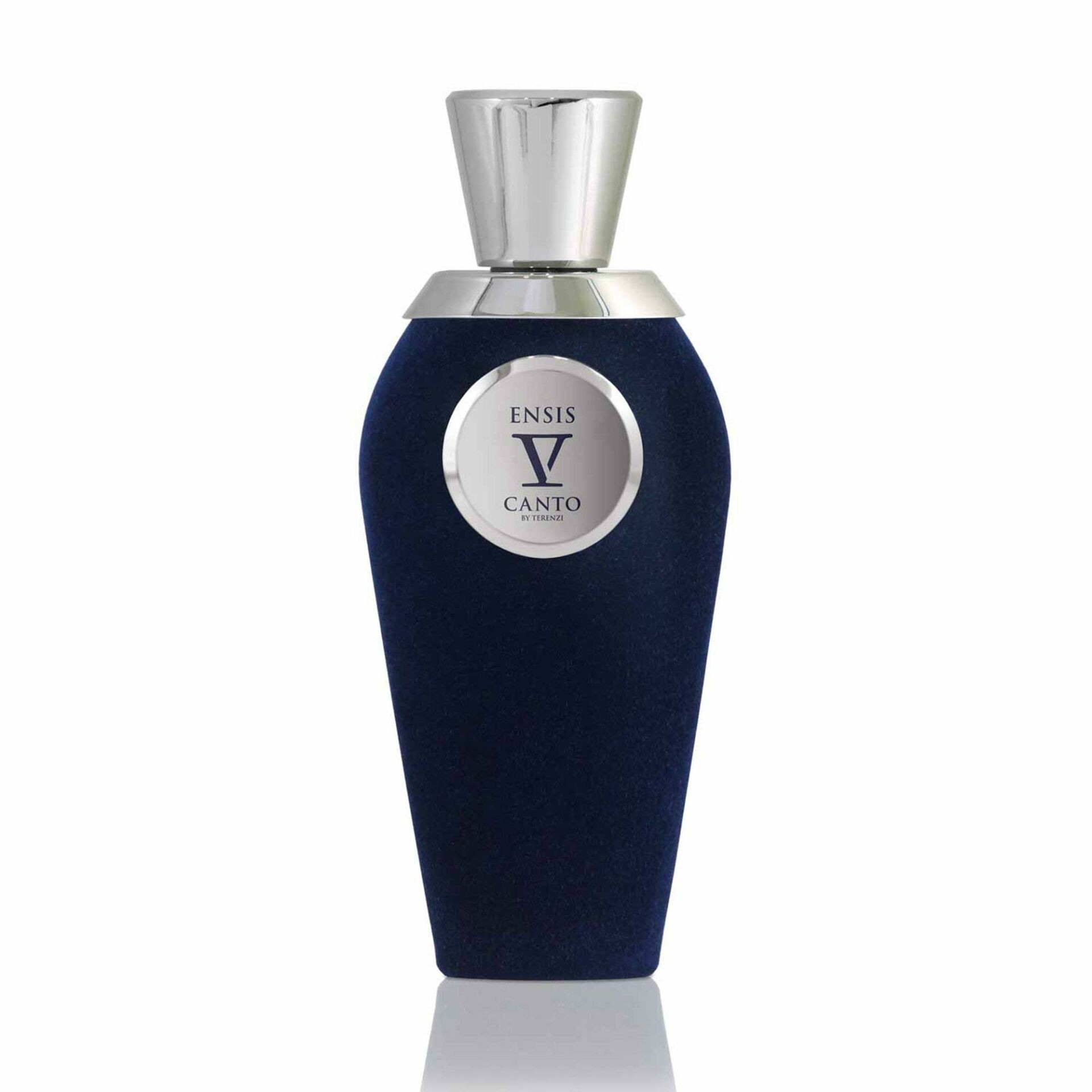 Ensis EDP 100 ml Parfüm