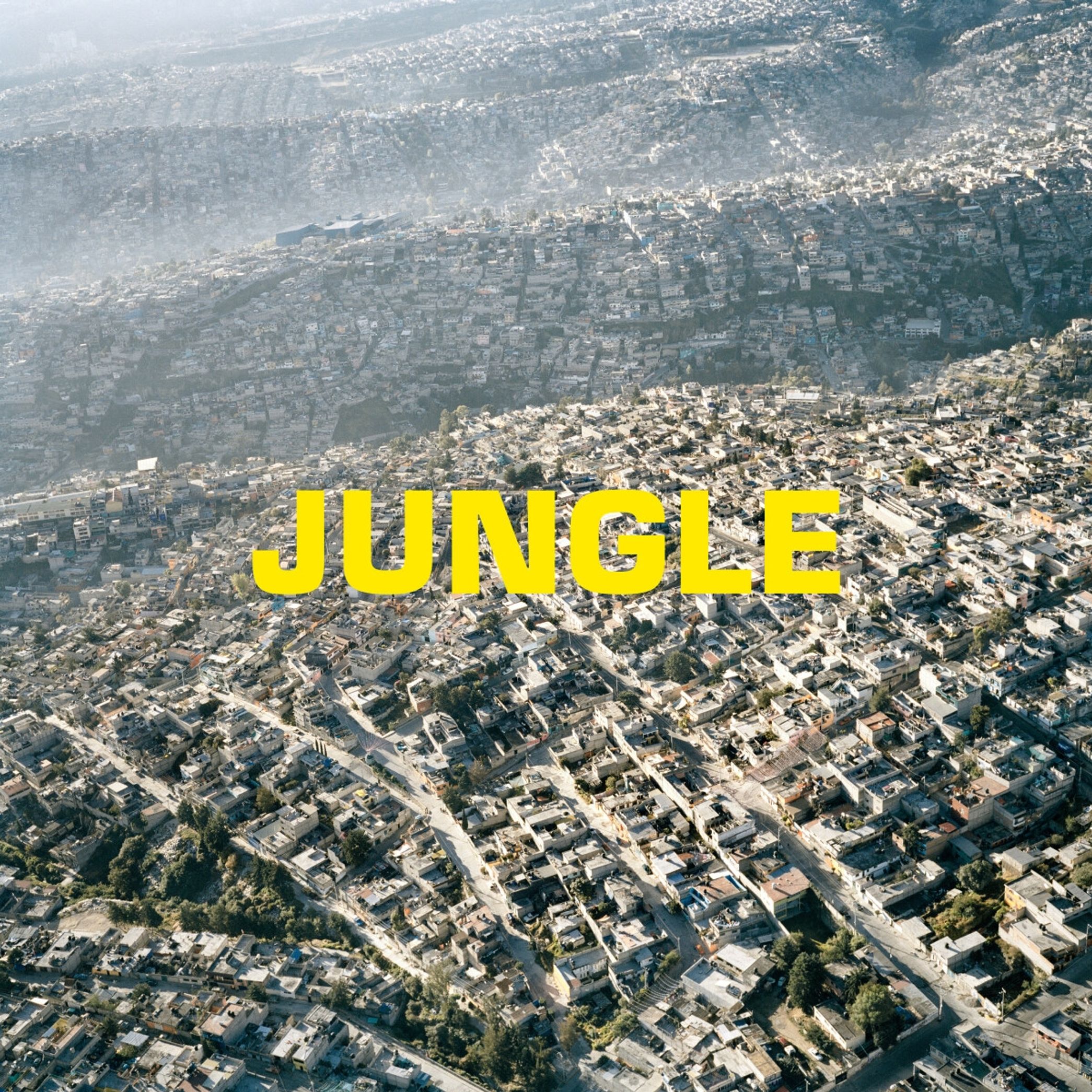 The Blaze - Jungle - Plak