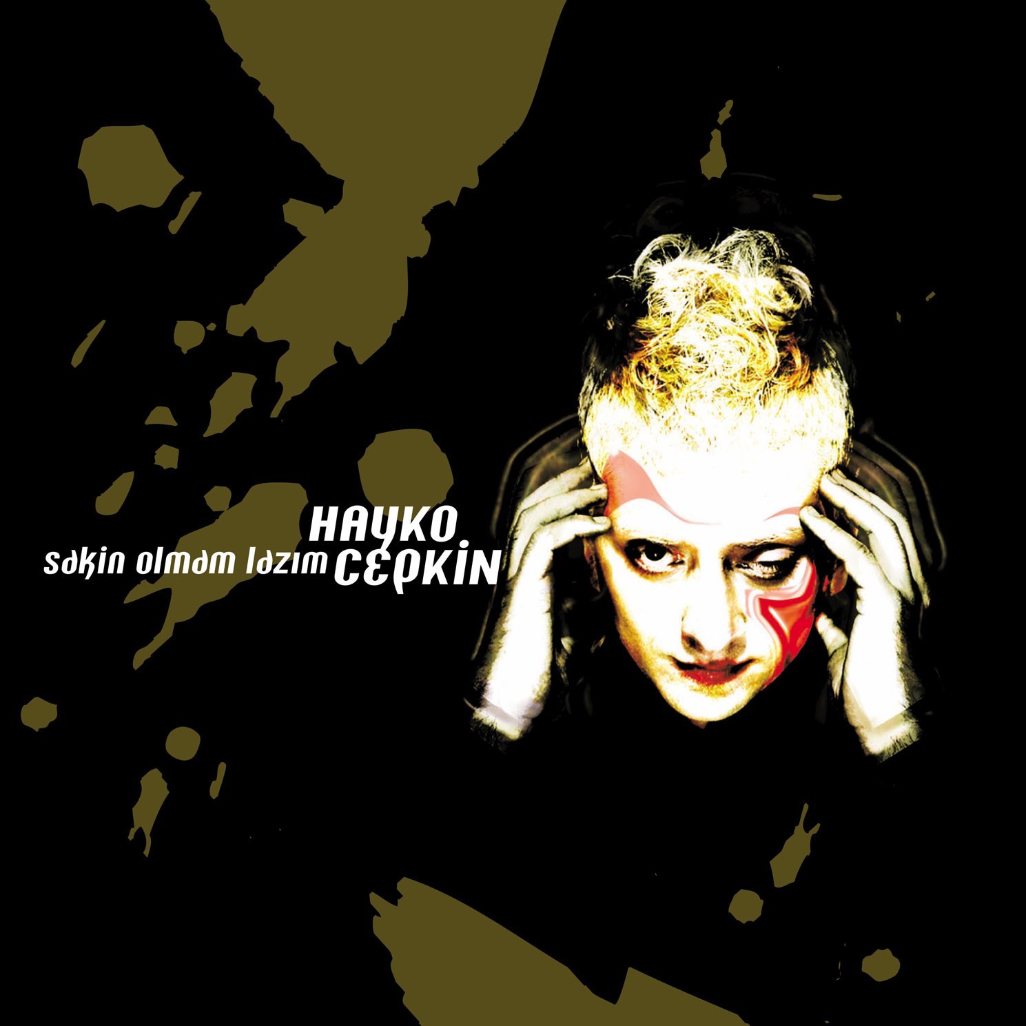 Hayko Cepkin - Sakin Olmam Lazım - Plak