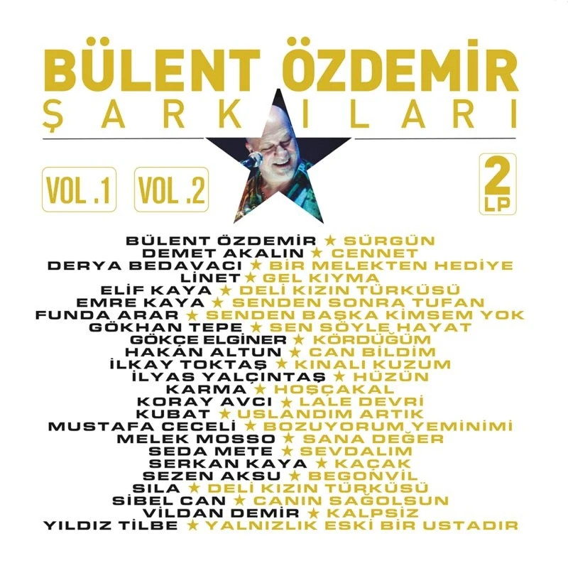 Bülent Özdemir, Çeşitli Sanatçılar - Bülent Özdemir Şarkıları Vol. 1 - 2 - Plak