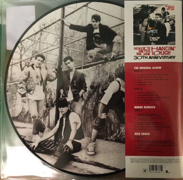 New Kids On The Block - Hangin' Tough (30th Anniversary Edition) (Picture Disc) - Plak