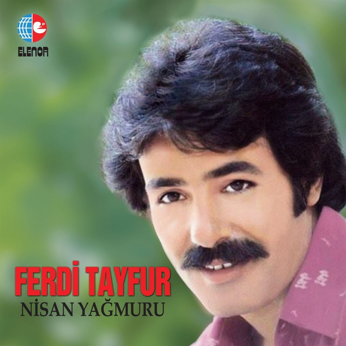 Ferdi Tayfur - Nisan Yağmuru - Plak