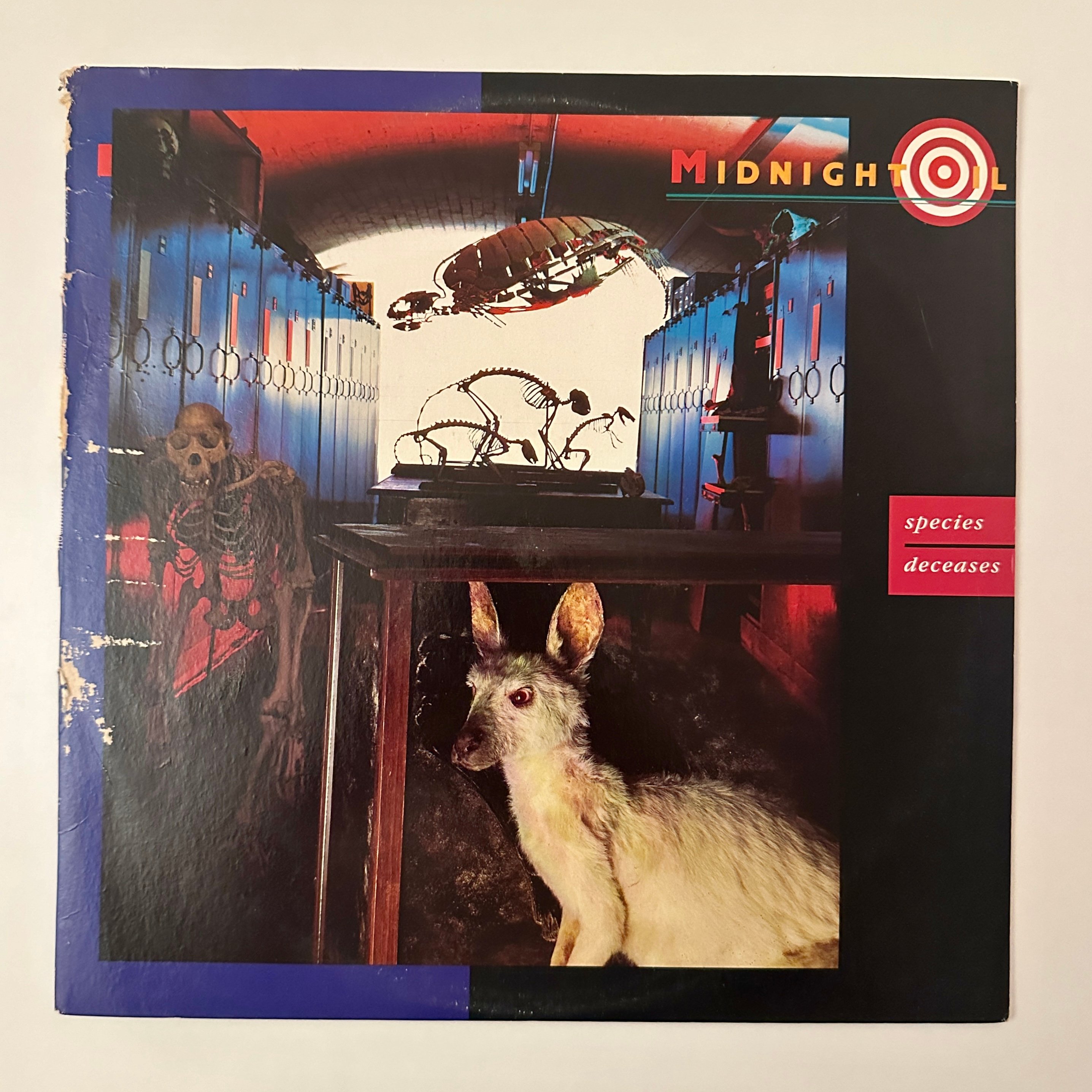 Midnight Oil – Species Deceases Dönem Baskı Maxi Single Plak