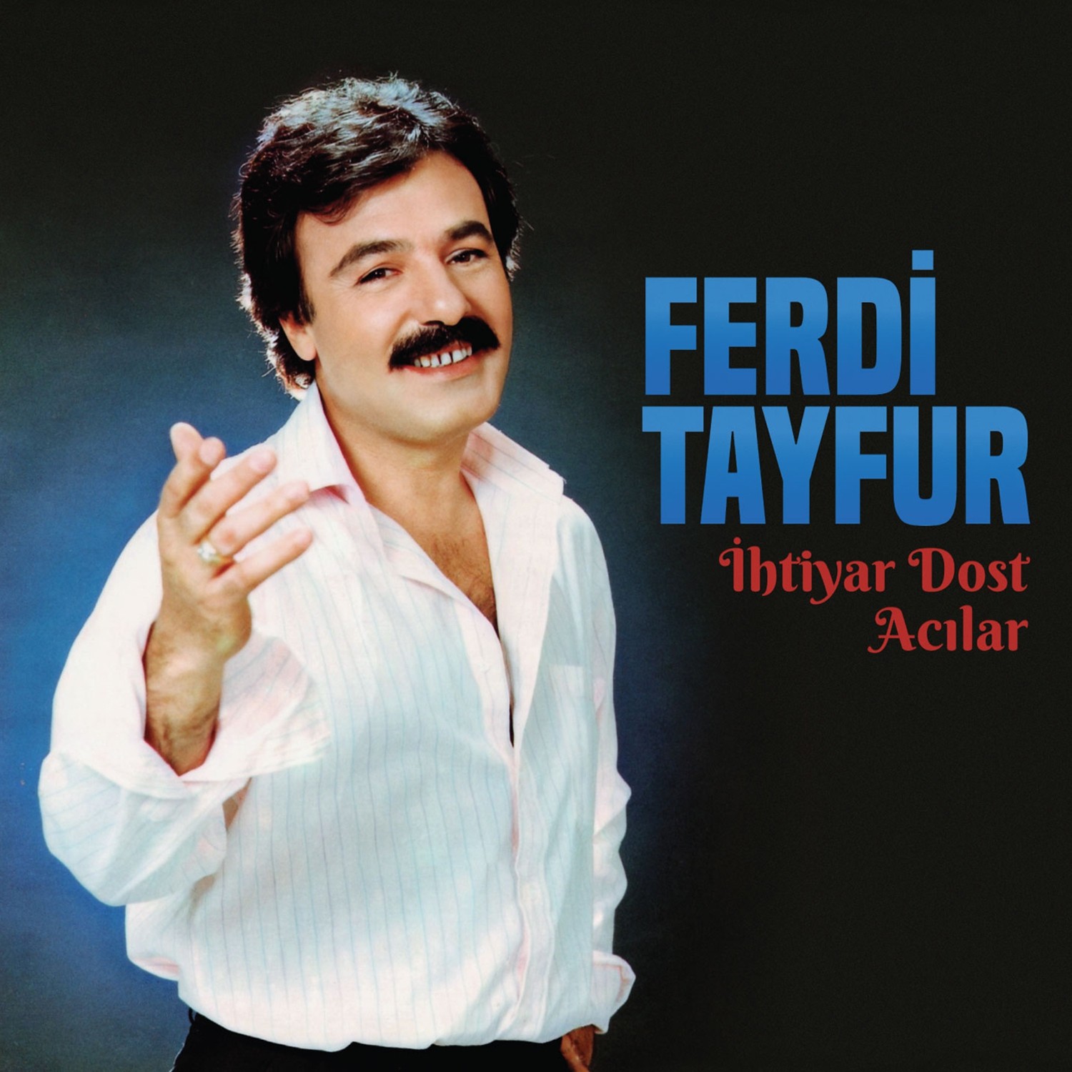 Ferdi Tayfur - İhtiyar Dost Acılar - Plak