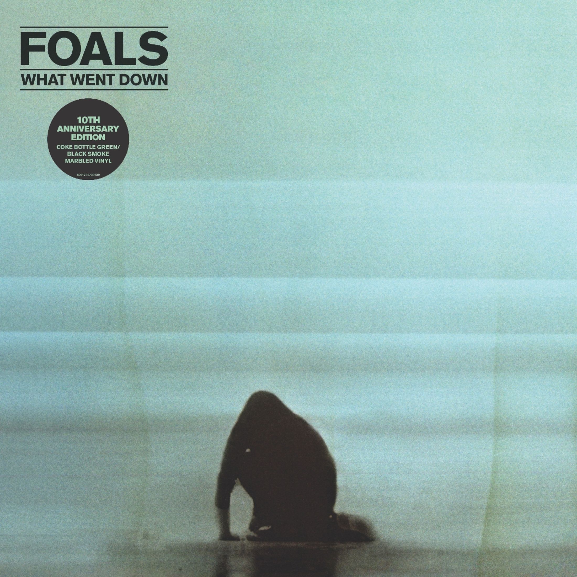 Foals - What Went Down (10th Anniversary) (Limited Edition) (Coke Bottle Green W Black Smoke Marble Vinyl) - Plak