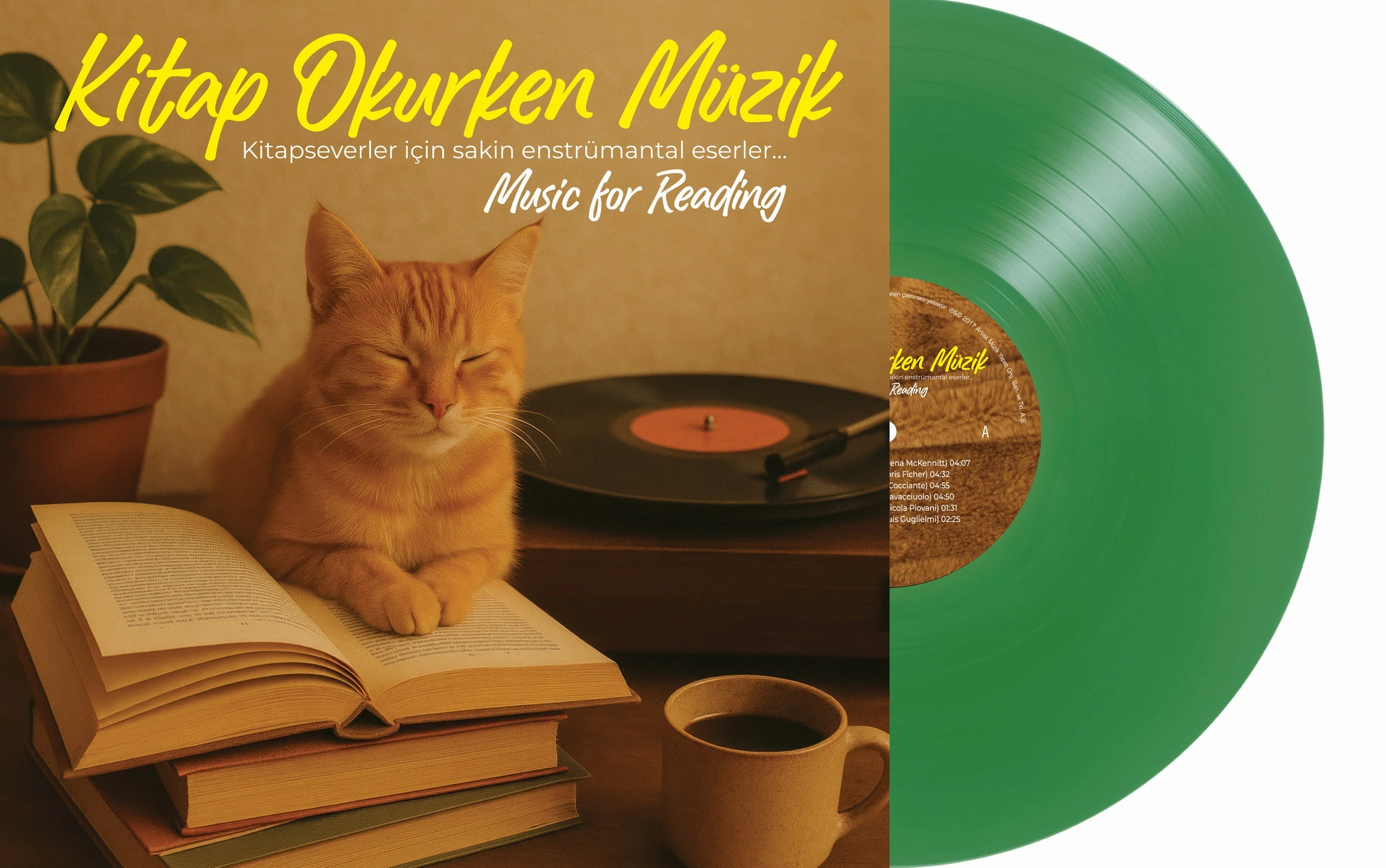 Çeşitli Sanatçılar - Kitap Okurken Müzik (Transparan Yeşil Plak) - Plak