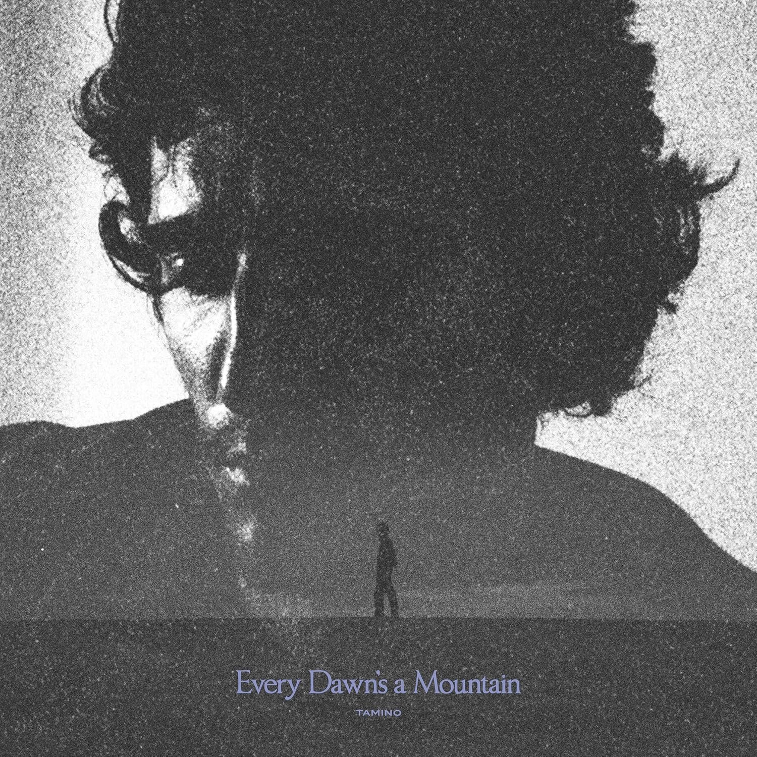 Tamino - Every Dawn's A Mountain (Black Silver Marble Vinyl) - Plak