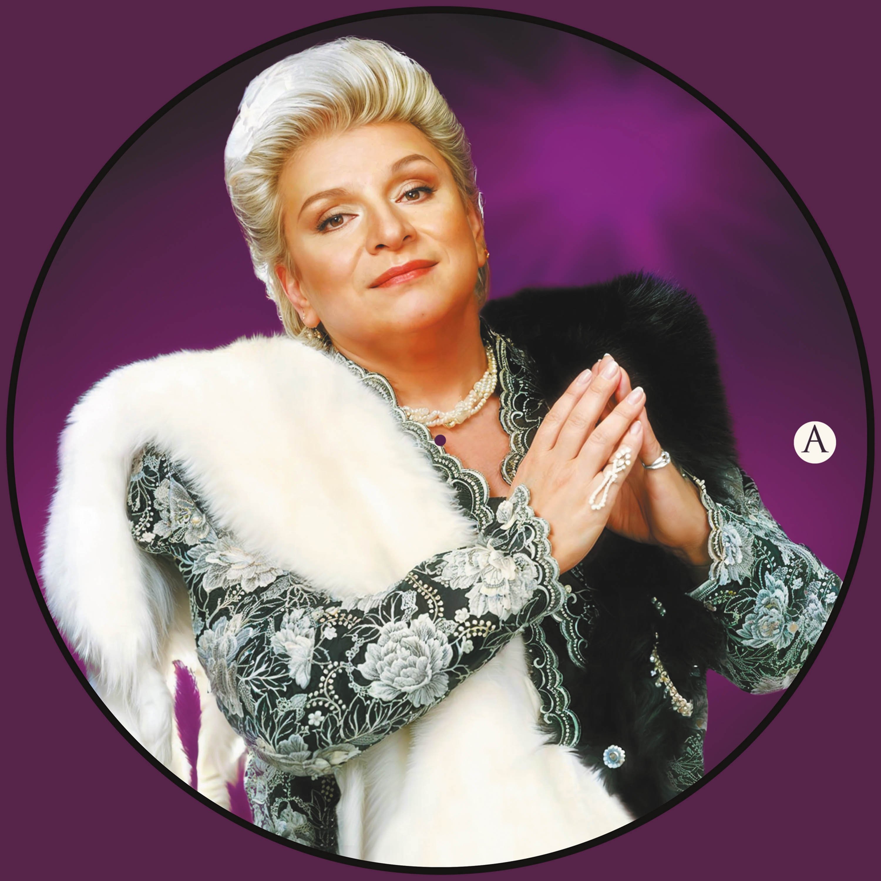 Zeki Müren - Batmayan Güneş (Picture Disc) - Plak