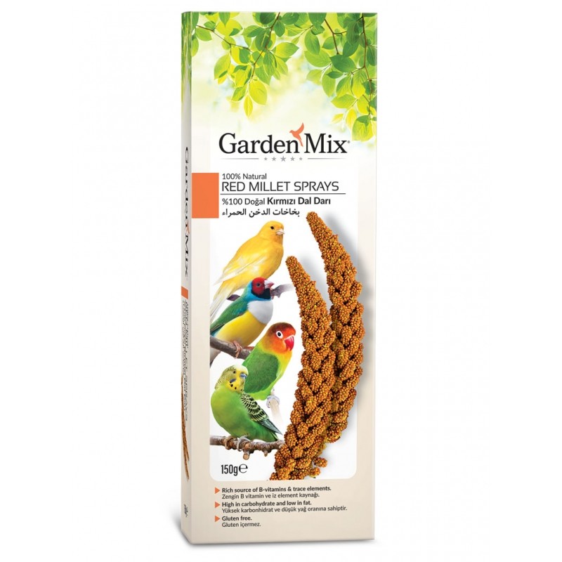 GARDEN MİX PLATİN KIRMIZI DAL DARI