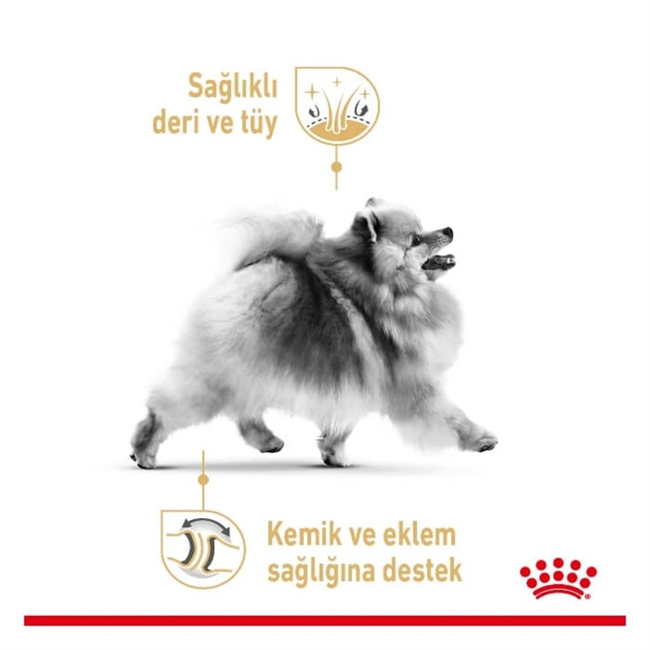 ROYAL CANİN POMERANIAN YETİŞKİN KÖPEK MAMASI 1,5 KG
