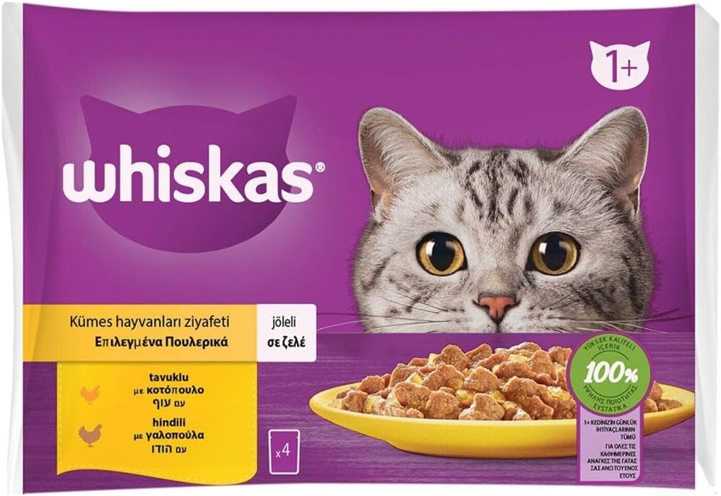 Whiskas Pouch Jöle İçinde Tavuklu ve Hindili Yetişkin Kedi Konservesi 4 x 85gr 13 Adet