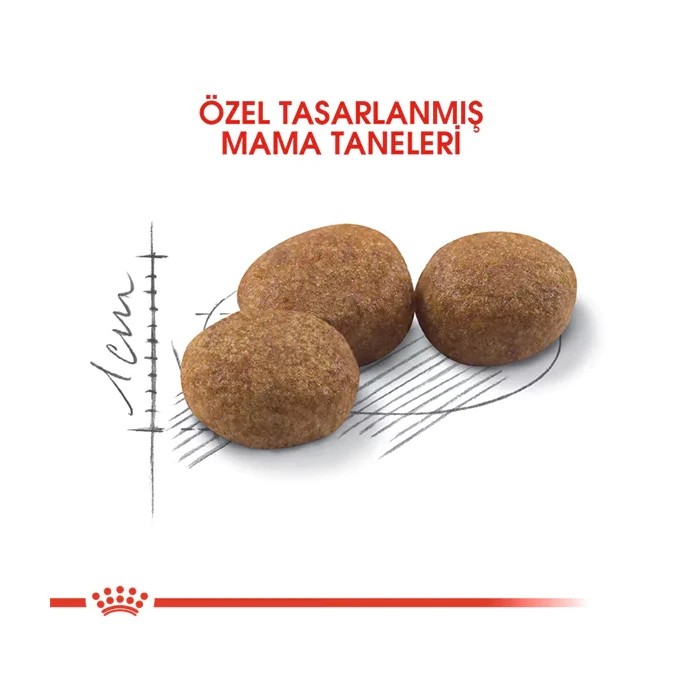ROYAL CANİN STERİLİSED 37 KISIRLAŞTIRILMIŞ KURU KEDİ MAMASI 15 KG