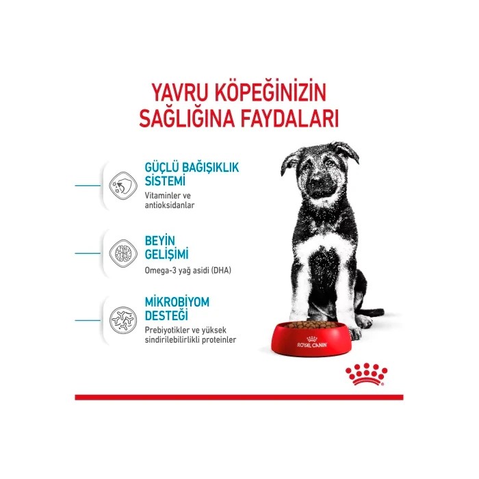 ROYAL CANIN MAXİ PUPPY 10 KG.