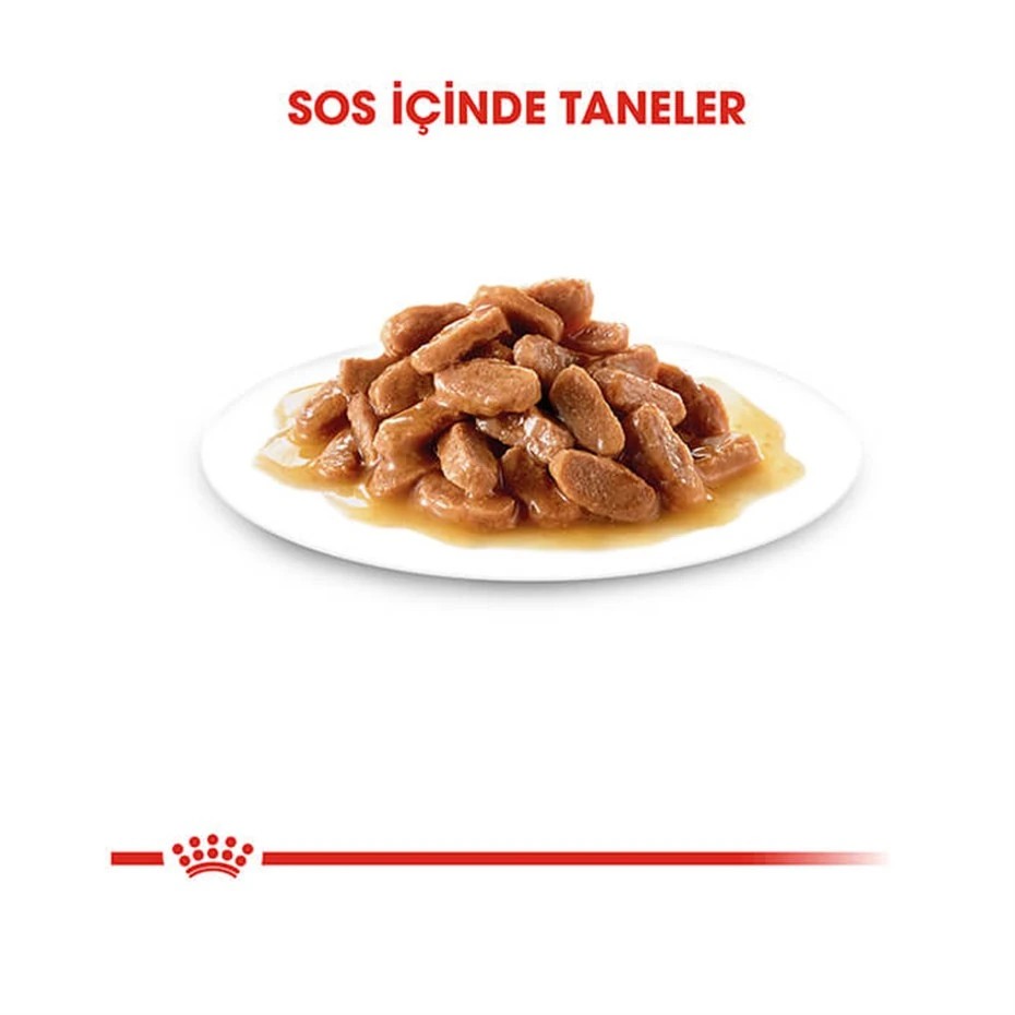 ROYAL CANİN KİTTEN GRAVY GEBE VE YAVRU KONSERVE KEDİ MAMASI 85GR
