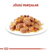 ROYAL CANİN POUCH STERİLİSED JELLY KISIRLAŞTIRILMIŞ KEDİ YAŞ MAMA 85 GR.