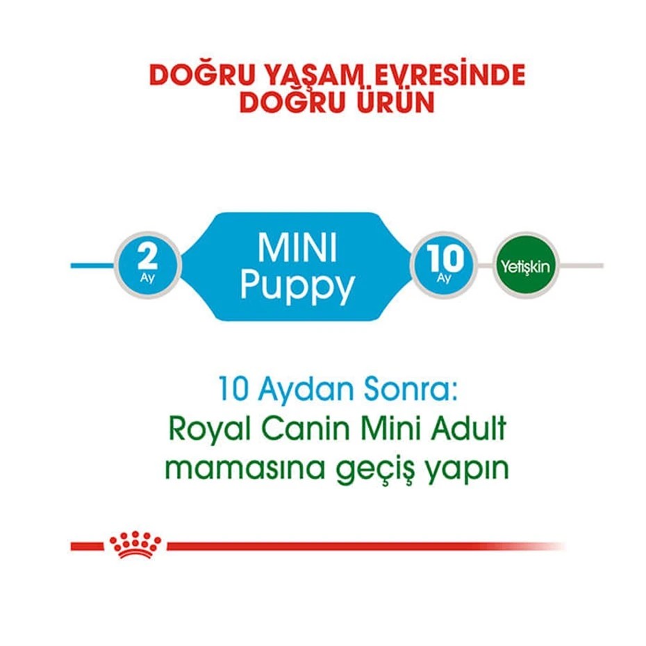 ROYAL CANİN MİNİ PUPPY YAVRU KURU KÖPEK MAMASI 4 KG