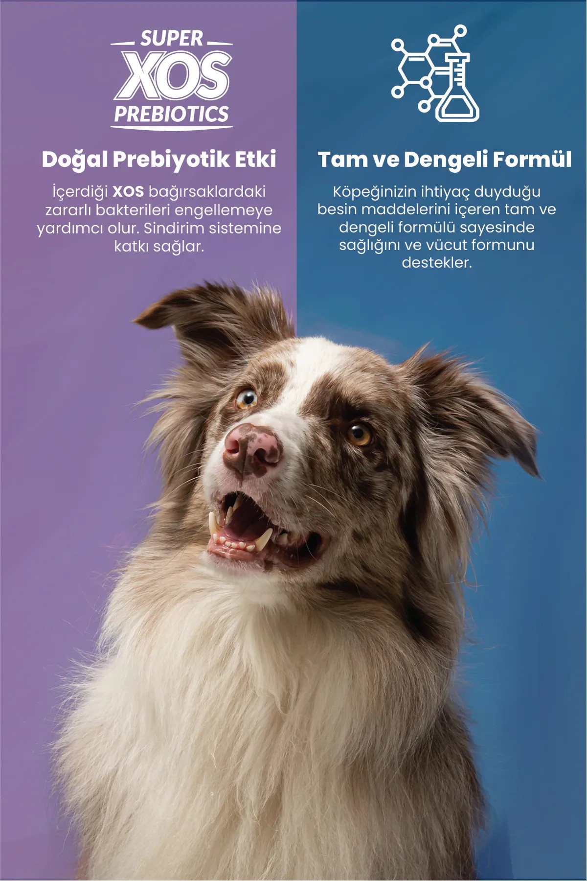 REFLEX PLUS SOMONLU KÜÇÜK IRK YETİŞKİN KÖPEK MAMASI 8 KG