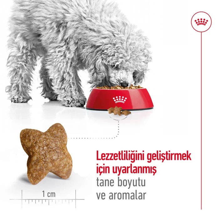 ROYAL CANİN MİNİ ADULT YETİŞKİN KÖPEK MAMASI 2 KG