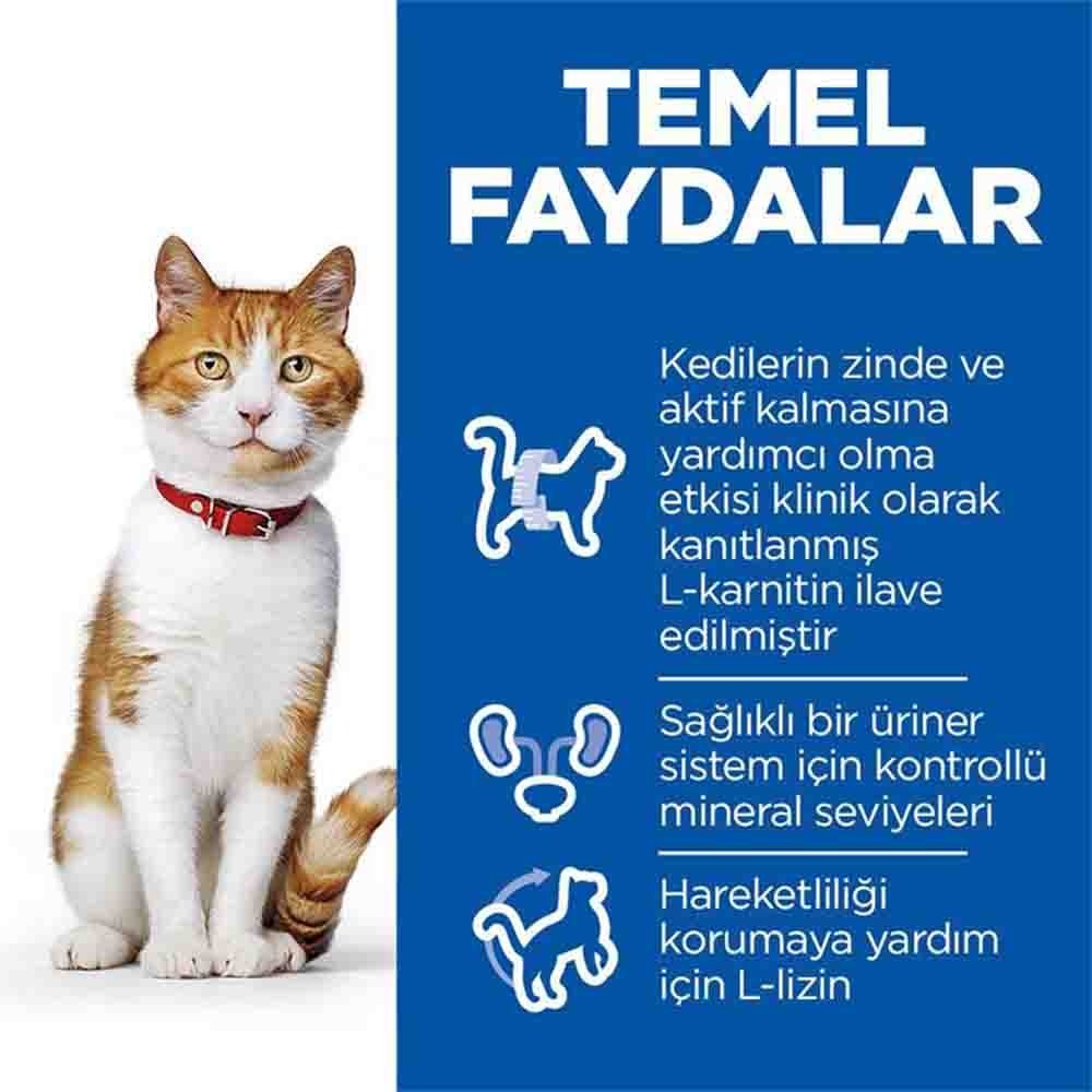 HİLLS SOMONLU KISIRLAŞTIRILMIŞ KEDİ MAMASI 8+2 KG