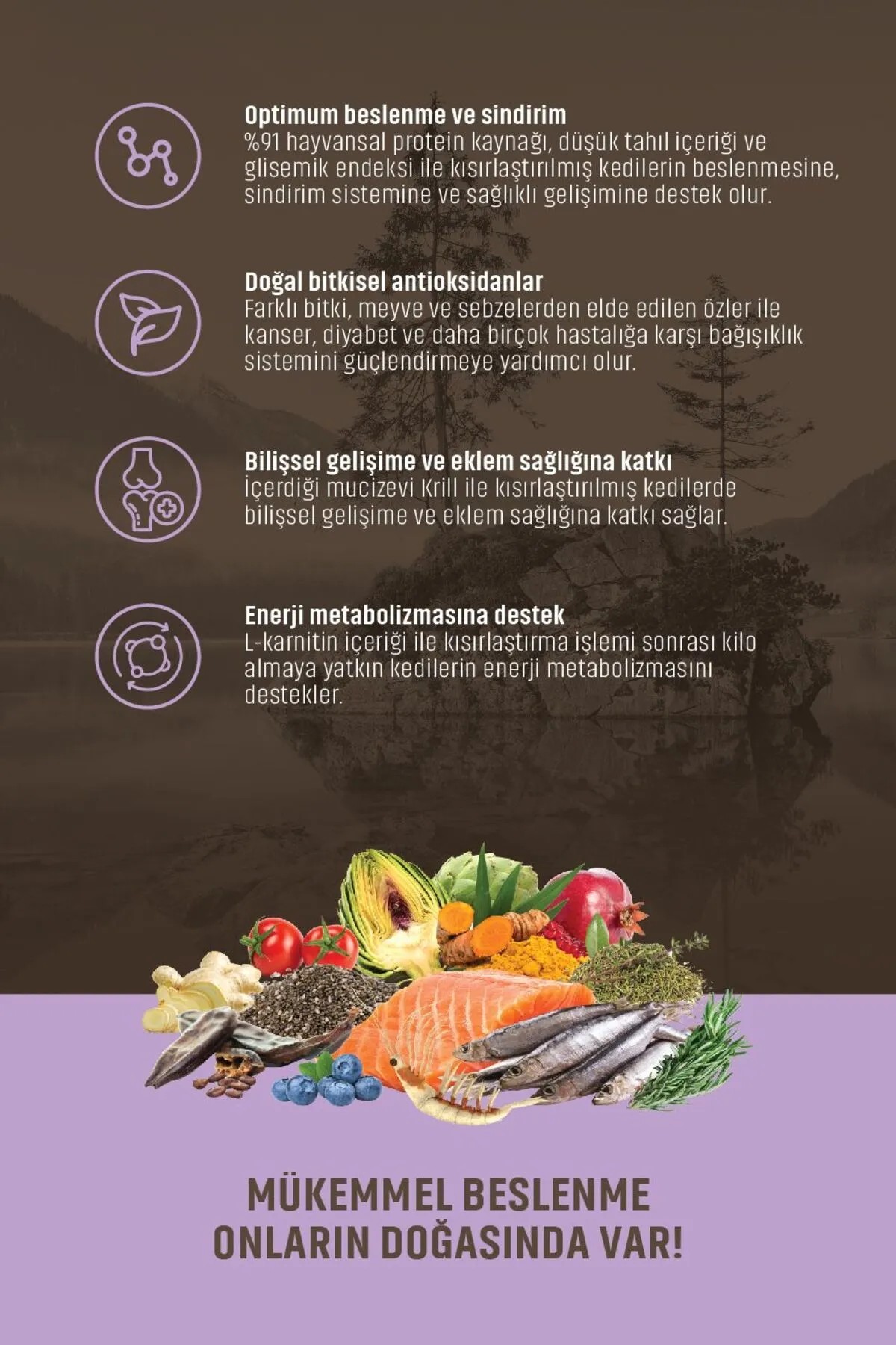 SPECTRUM LOW GRAİN STERİL SOMONLU 2.6 KG.
