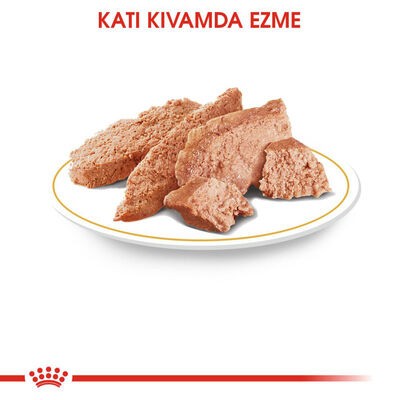 Royal Canin Pouch Poodle Irkı Özel Yaş Köpek Maması 85 Gr x 12 Adet