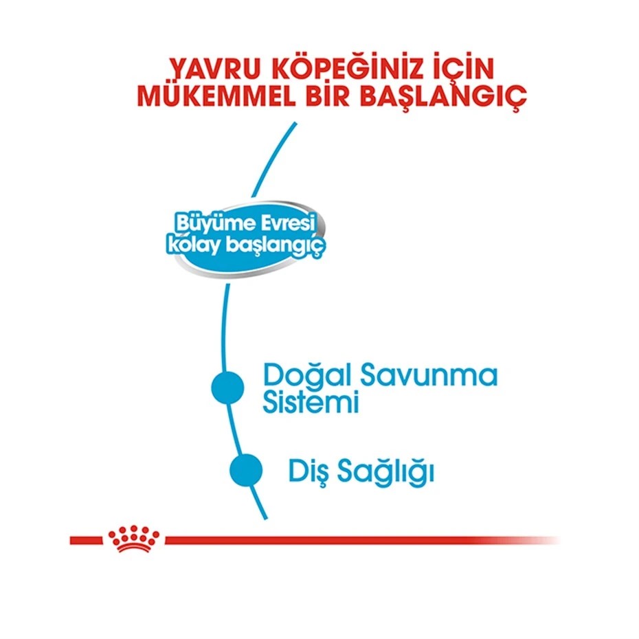 ROYAL CANİN STARTER MOUSSE YAVRU KÖPEK KONSERVESİ 195 GR