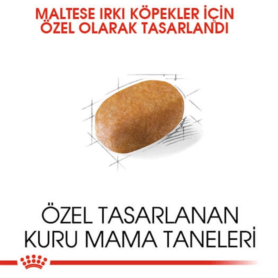 ROYAL CANİN MALTESE BİCHON MALTAİS YETİŞKİN KÖPEK MAMASI 1.5 KG