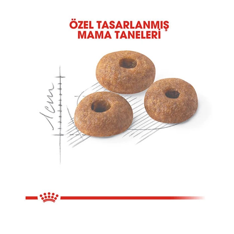 ROYAL CANİN FİT 32 KURU KEDİ MAMASI 15 KG