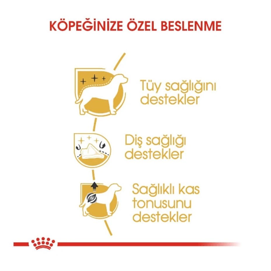 ROYAL CANİN POODLE ADULT YETİŞKİN KÖPEK MAMASI 3 KG