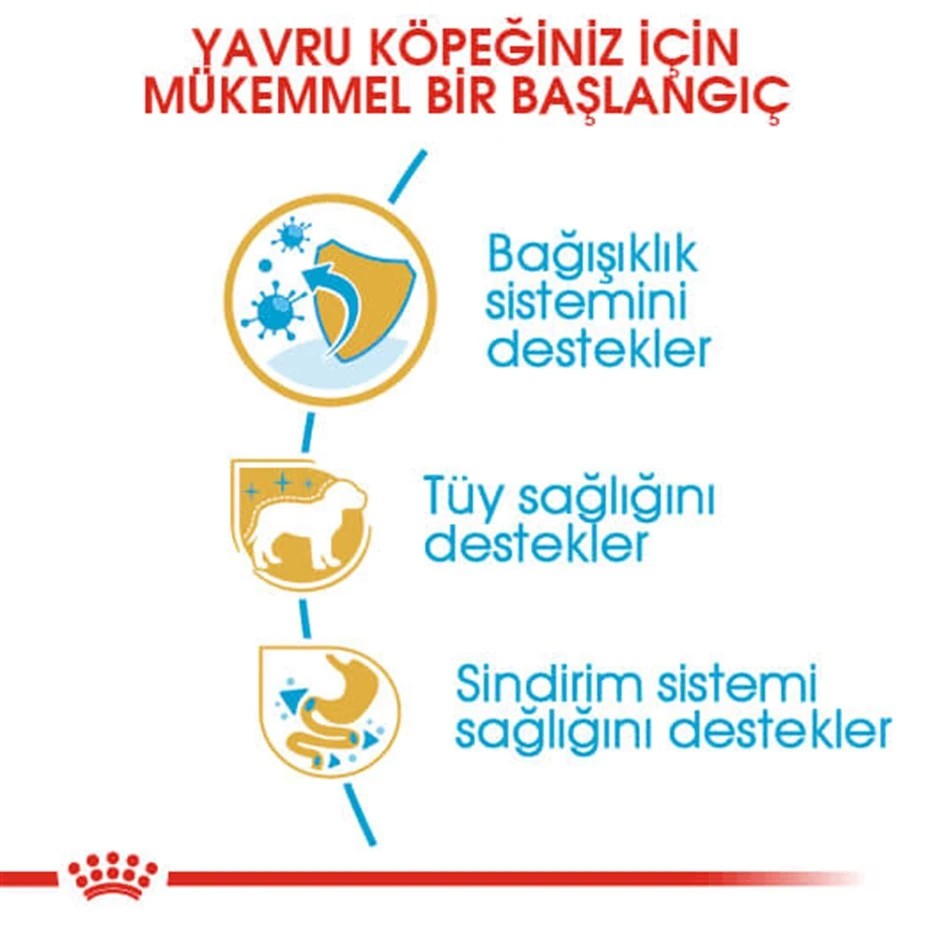 ROYAL CANİN POODLE JUNİOR YAVRU KÖPEK MAMASI 3 KG