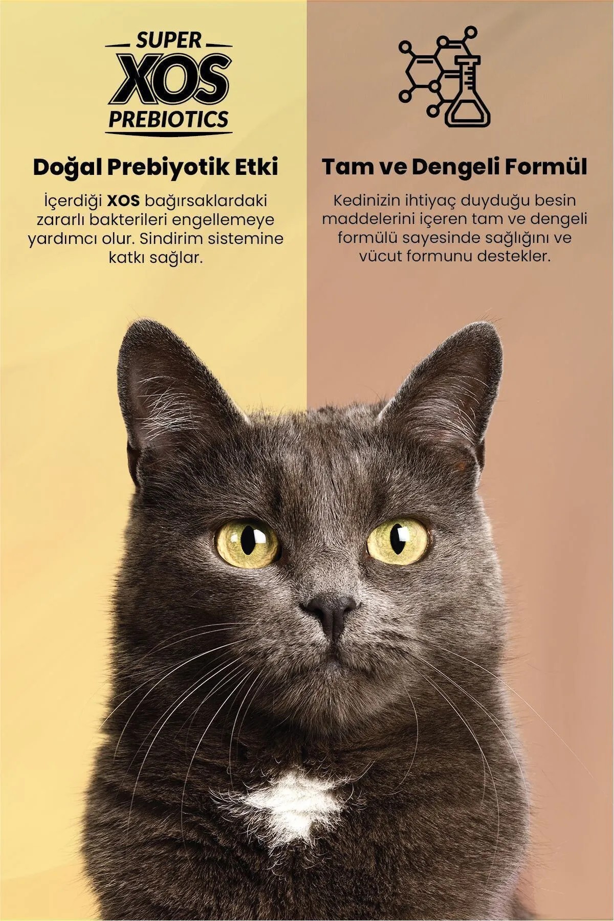 REFLEX PLUS TAVUKLU YETİŞKİN KEDİ MAMASI 8 KG