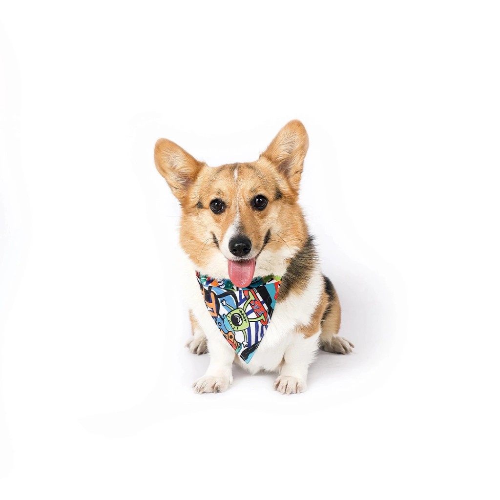 M-Pets Urban Style Köpek Bandanası 13x33cm [S]