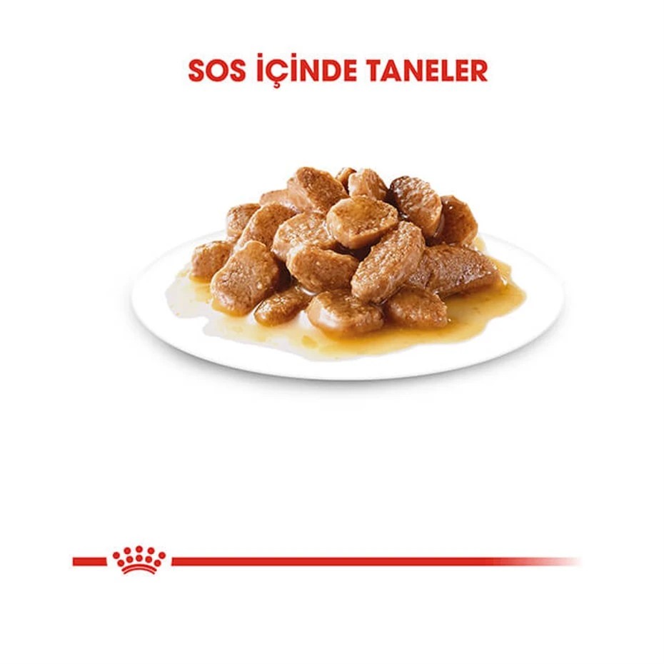 ROYAL CANİN MİNİ ADULT SOSLU KÖPEK KONSERVESİ 85 GR