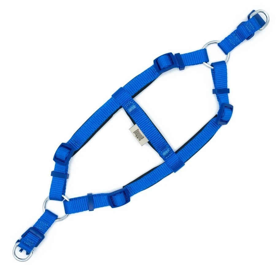DOGGIE DSGT10XS ROYALBLUE