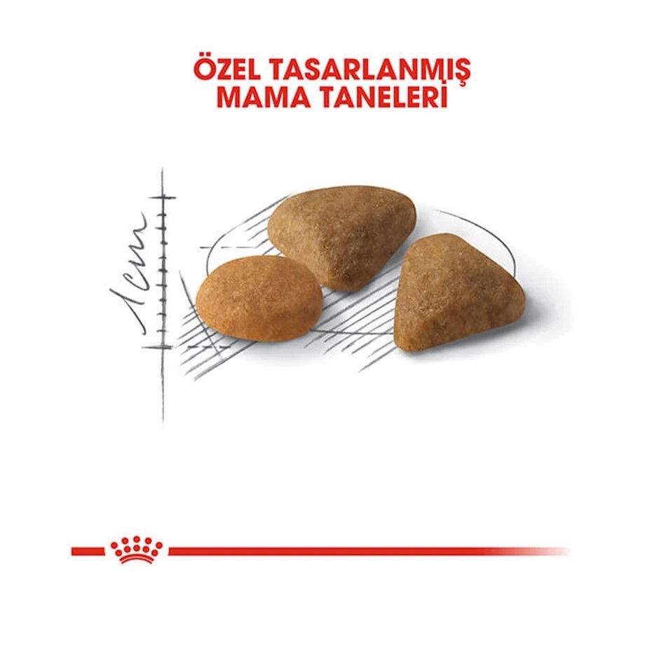 ROYAL CANİN EXİGENT KURU KEDİ MAMASI 2 KG