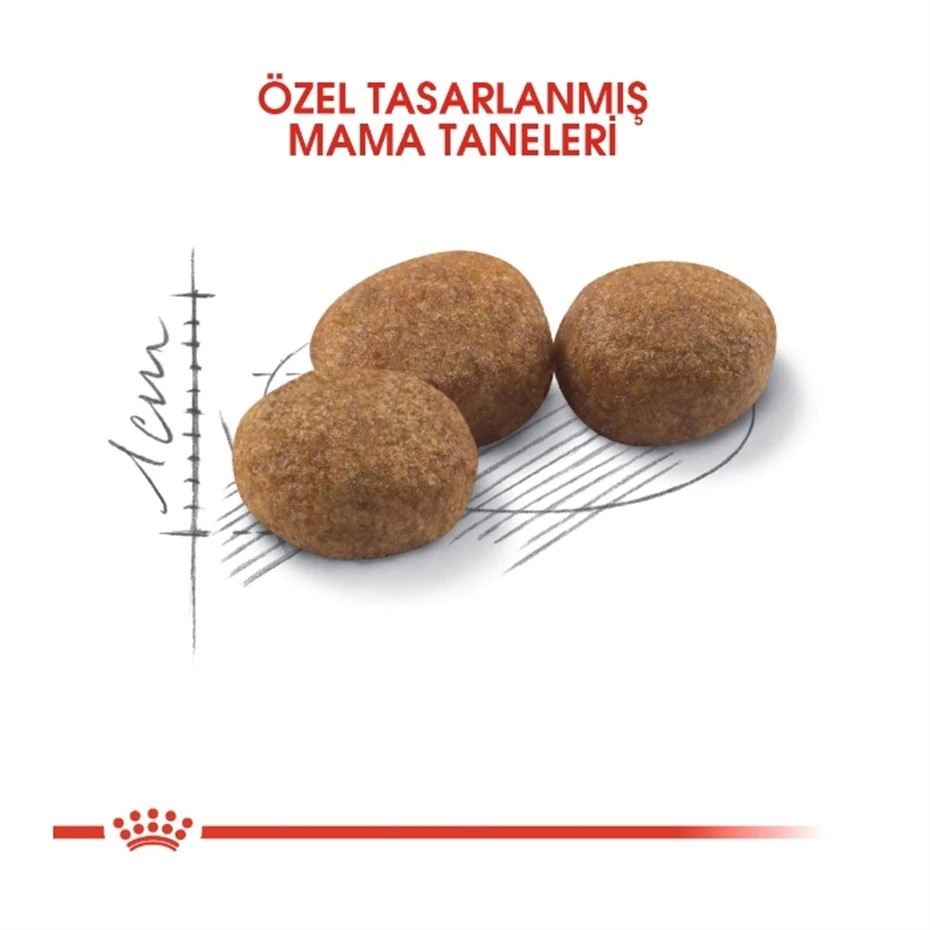 ROYAL CANİN STERİLİSED 37 KISIRLAŞTIRILMIŞ KEDİ MAMASI 2 KG