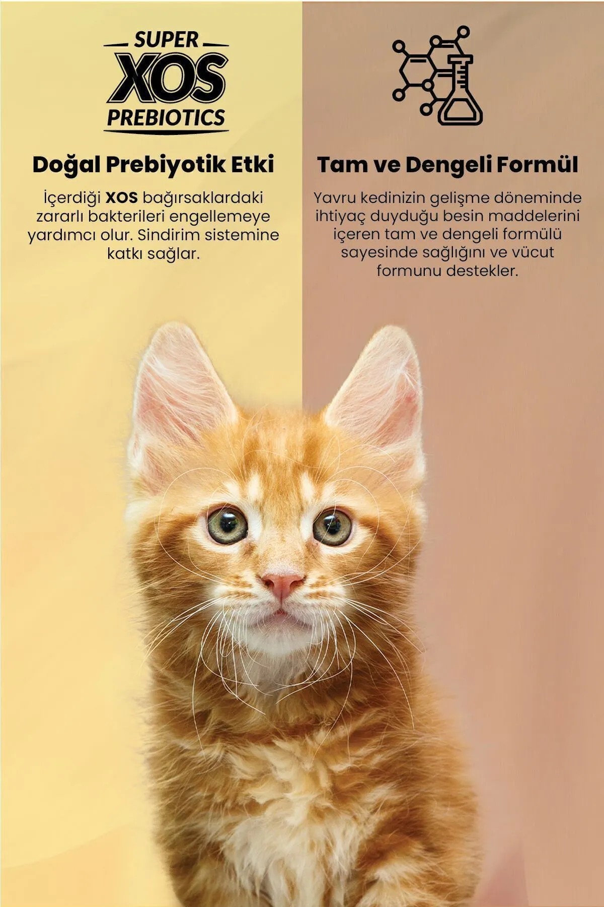 REFLEX PLUS KITTEN SOMONLU 1,5 KG