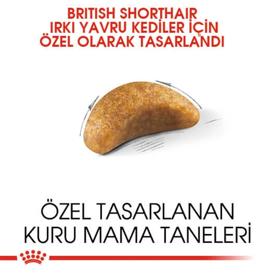 ROYAL CANİN FELİNE KİTTEN BRİTİSH SHORTHAİR YAVRU KEDİ MAMASI 2 KG