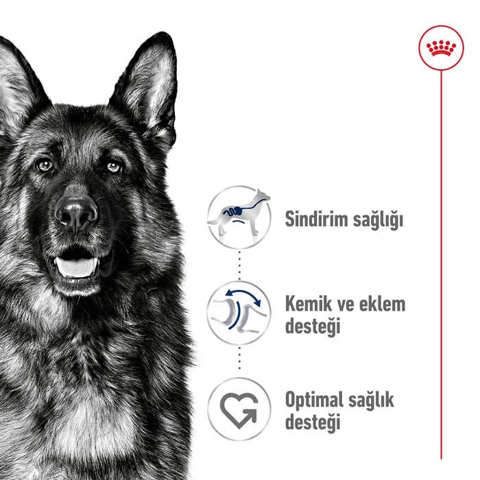 ROYAL CANİN MAXİ ADULT BÜYÜK IRK YETİŞKİN KURU KÖPEK MAMASI 15 KG