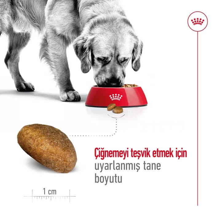 ROYAL CANİN MAXİ ADULT BÜYÜK IRK YETİŞKİN KURU KÖPEK MAMASI 15 KG