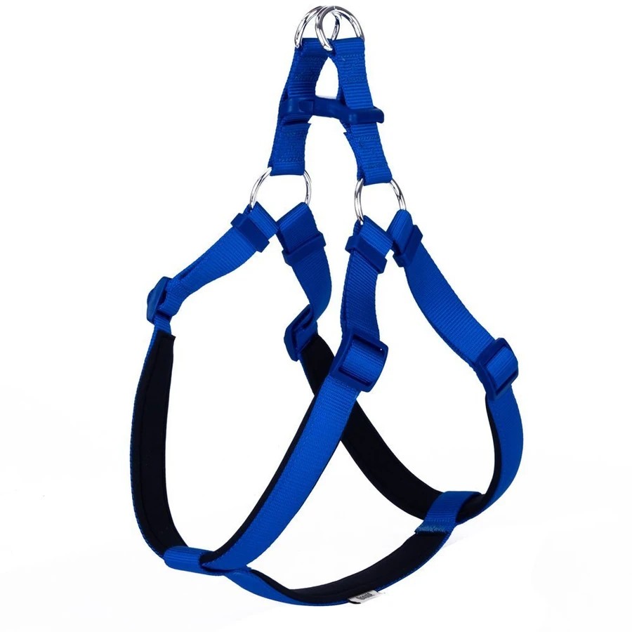 DOGGIE DSGT10XXL ROYALBLUE
