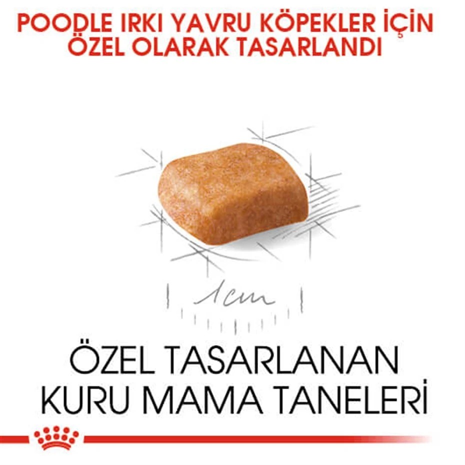 ROYAL CANİN POODLE JUNİOR YAVRU KÖPEK MAMASI 3 KG