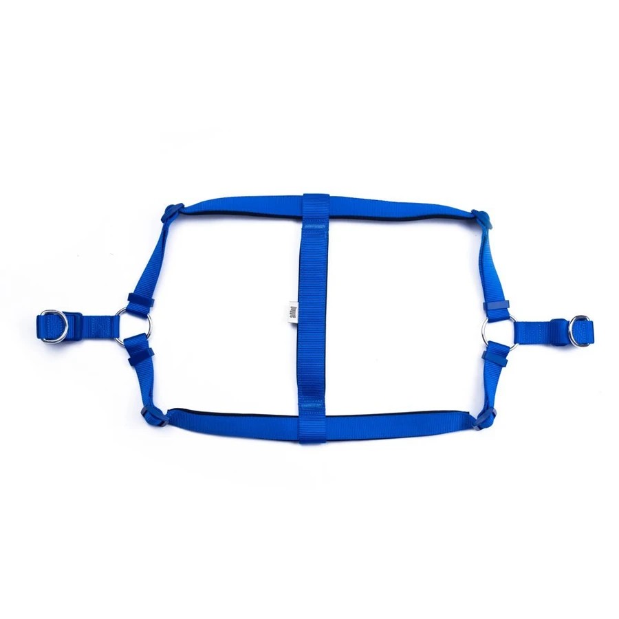 DOGGIE DSGT10XXL ROYALBLUE