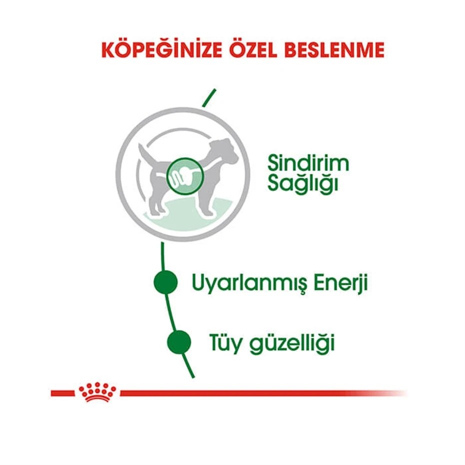 ROYAL CANİN MİNİ ADULT SOSLU KÖPEK KONSERVESİ 85 GR