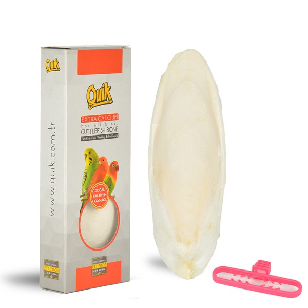 QUİK MÜREKKEP BALIĞI KEMİĞİ GAGA TAŞI 15X6 CM [M]
