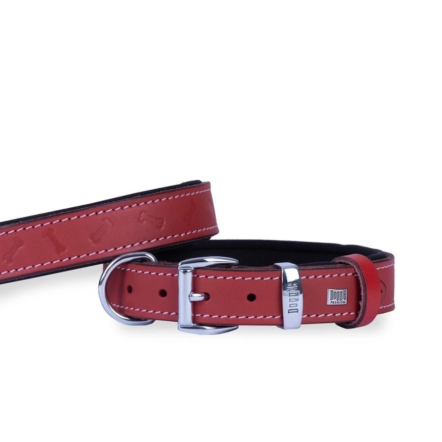 DOGGIE COMFORT KEMIK DESENLI DERI BOYUN TASMASI KIRMIZI SBT-3035 3,0X55 CM